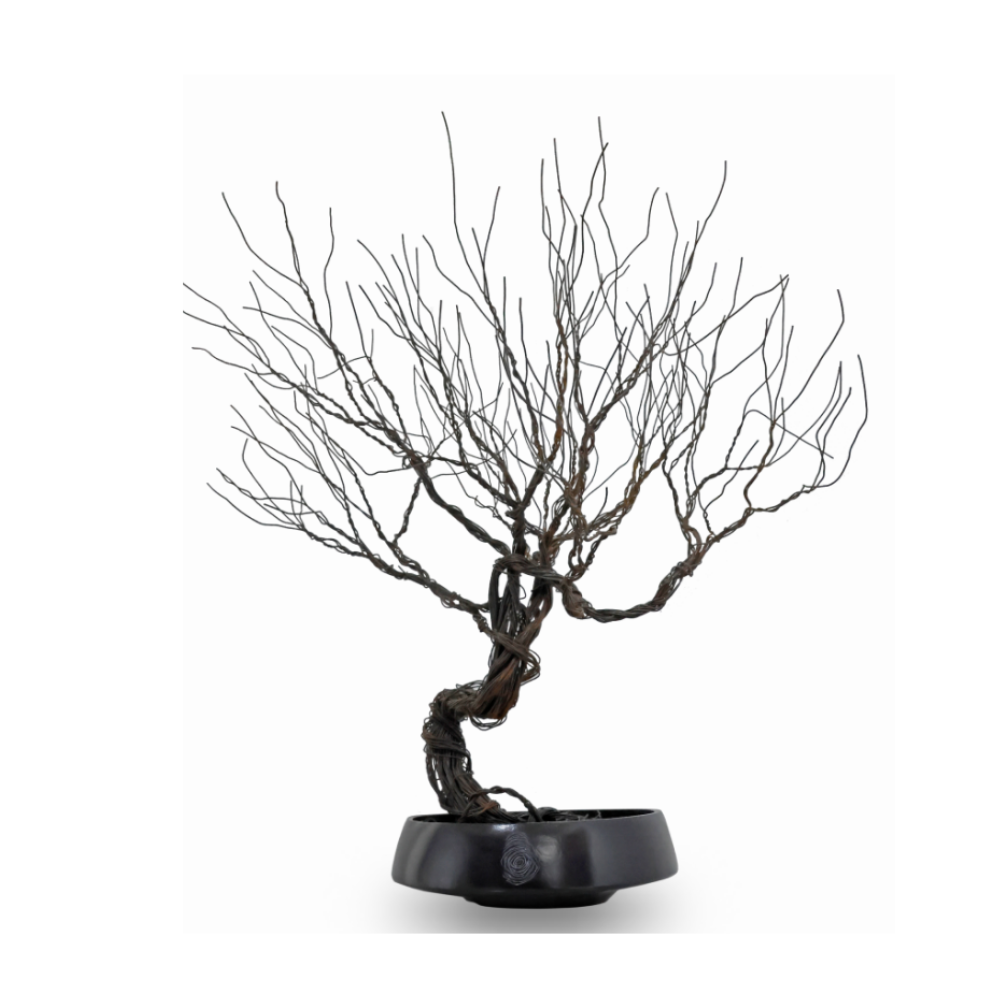 Árbol Genealógico 0115-Álvaro Cuevas