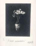 Flores encendidas - HUMA