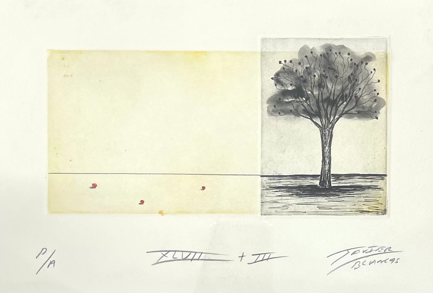 XLVII + III - Javier Blancas