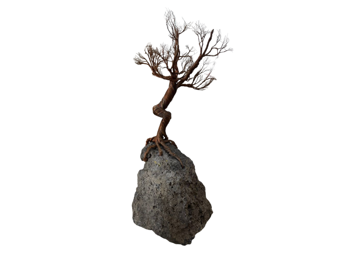 Árbol Genealógico-Álvaro Cuevas