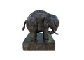 Elephanti-Antonio Hernández