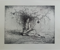 Venus natura- Juan Carlos Navarro